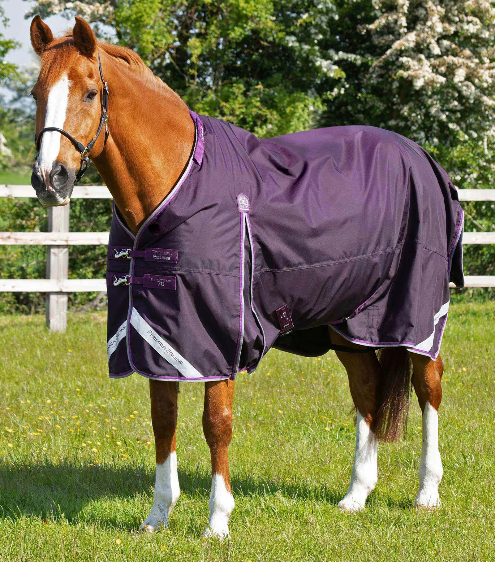COBREJAO BUSTER 70g COM COBERTURADE PESCOÇO PREMIER EQUINE