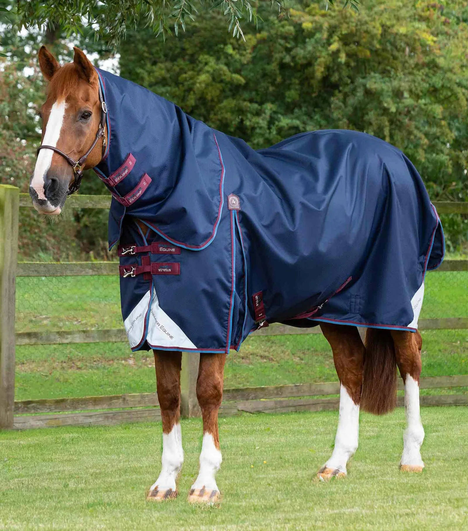 COBREJAO AKONI 0g COM COBERTURA DE PESCOÇO PREMIER EQUINE