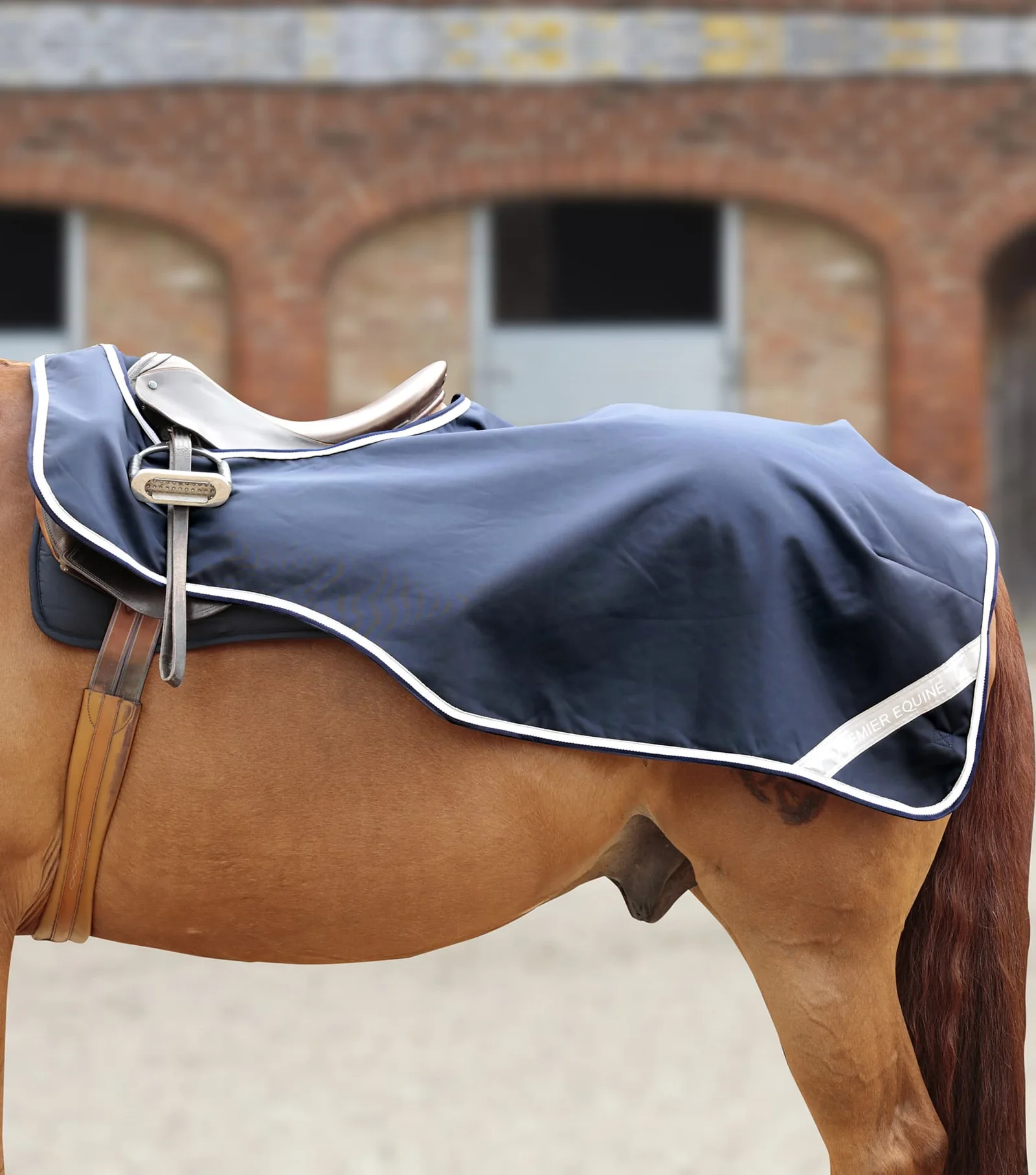 MANTA PARA EXERCICIO RPEMIER EQUINE