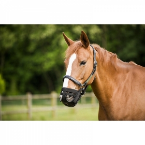 Focinheira de Cavalo Norton 